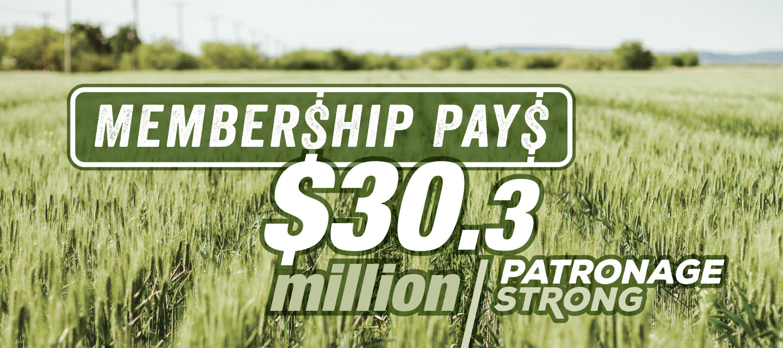 Patronage - Membership Pays - $30.3 Million in Patronage